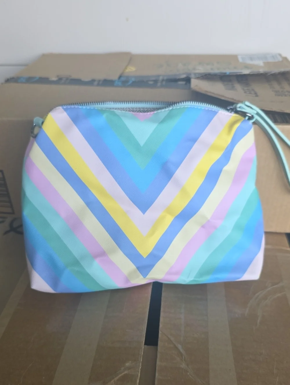 Steve Madden Pastel Chevron Wristlet Pouch